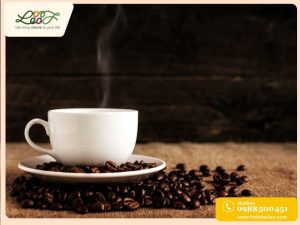 Cafe bao nhiêu calo? Uống cafe có tăng cân không?